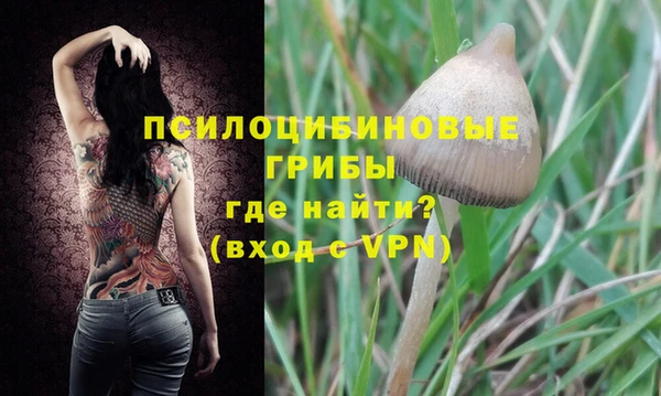 mdma Пересвет
