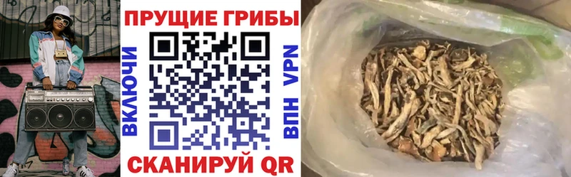 Псилоцибиновые грибы GOLDEN TEACHER  ссылка на мегу ССЫЛКА  мориарти телеграм  Ленинградская 